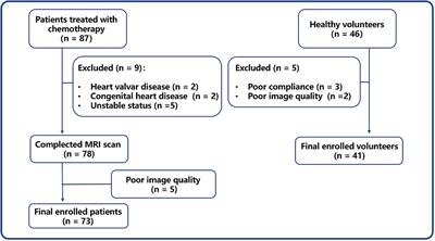 Myocardial edema during chemotherapy for gynecologic malignancies: A cardiac magnetic resonance T2 mapping study